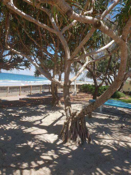 Pet Friendly & Spacious Two Bedroom Guest Unit Caloundra Esterno foto